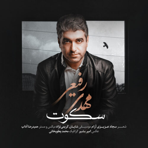 مهدی رفیعی - سکوت